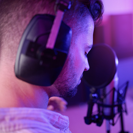 professional dubbing services